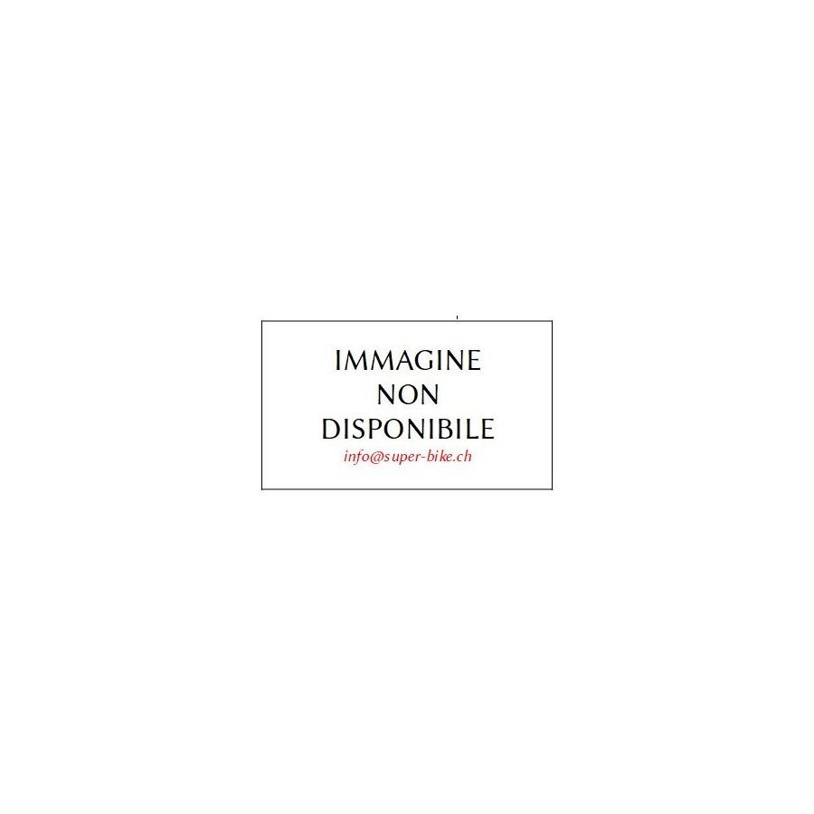 Premier Monza Visiera iridium