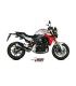 Mivv Delta Race BMW F 900 R (2020-24)
