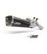 Mivv Delta Race BMW F 900 R (2020-24)