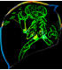 ICON AIRFLITE Bugoid Blitz helmet