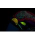 Casco integrale Icon Airframe Pro™ Krazy Klown 2