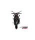 MIvv GP carbon CF-MOTO 450NK (2023-24)