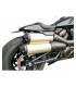 Access design mudguard Harley-Davidson Sportster S 1250 (2021-24)