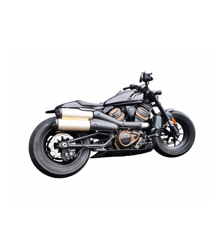Access design mudguard Harley-Davidson Sportster S 1250 (2021-24)