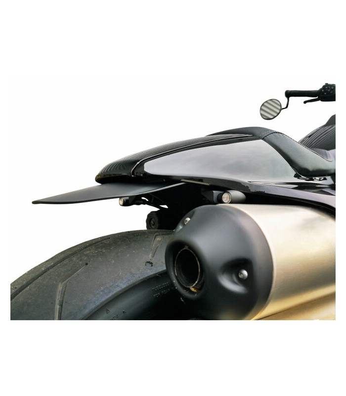 Access design mudguard Harley-Davidson Sportster S 1250 (2021-24)