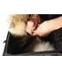 NELSON RIGG SAC MOTO POUR CHIEN Route 1 Rover pet carrier